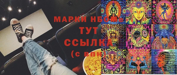тгк Снежногорск