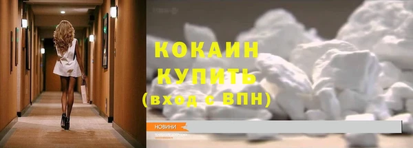 амф Сосновка