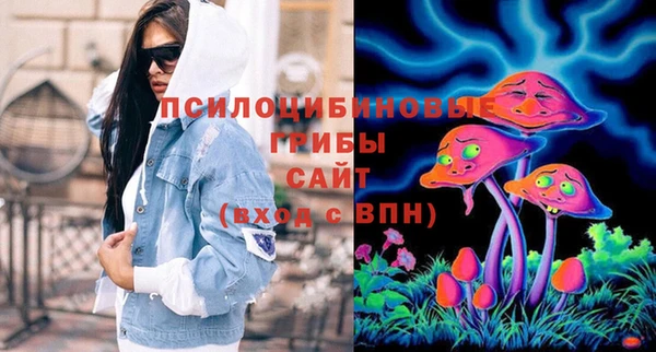 эйфоретик Сосновоборск