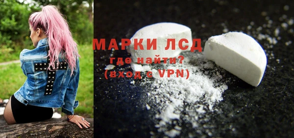 тгк Снежногорск