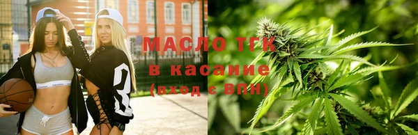 тгк Снежногорск