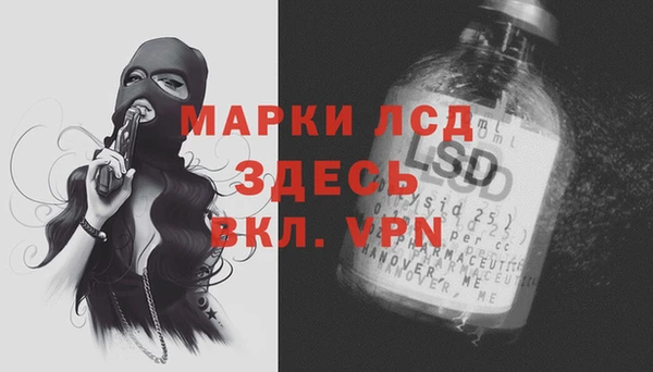 тгк Снежногорск