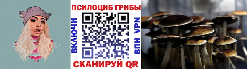 Купить закладки  Пыть-Ях  Псилоцибиновые грибы Psilocybe 